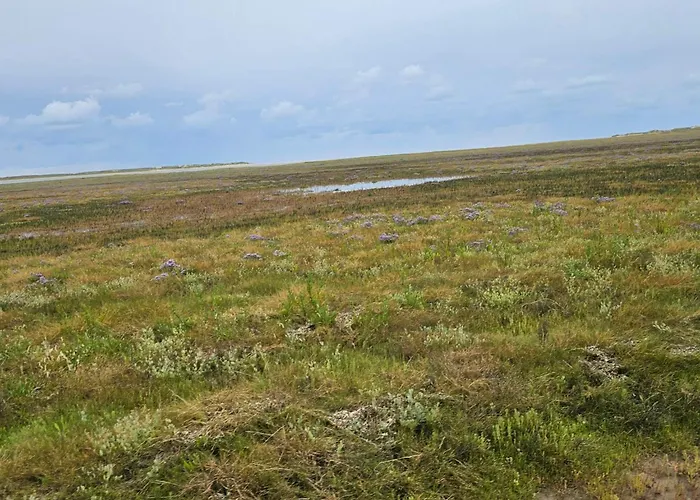 Panoramic Golf View Retreat - By Traum * Sønderby